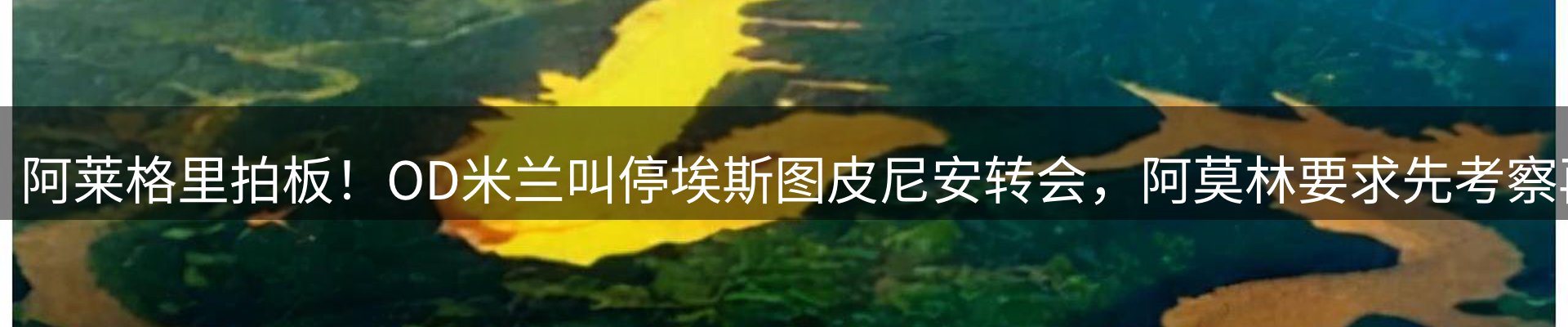 品牌资讯